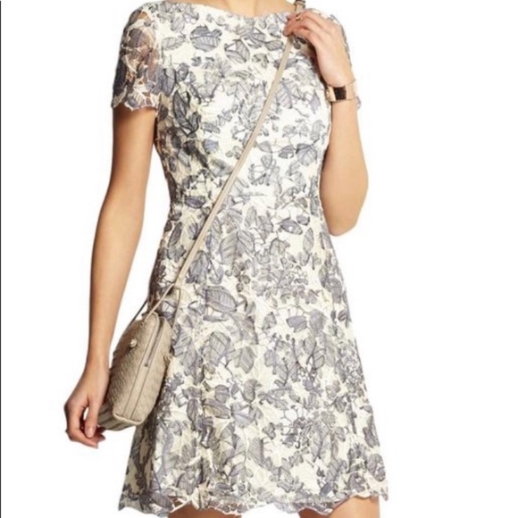 Tory Burch Dresses & Skirts - Tory Burch Lace Mini Dress
